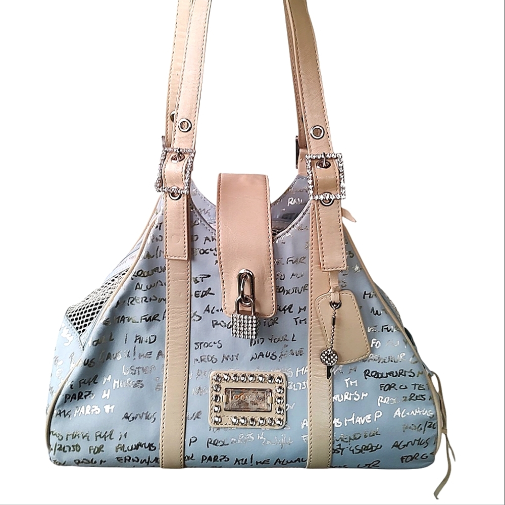 Stylish Beige & Light Blue Pet Carrier Tote - Designer Look